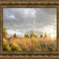 Payson Sunflowers