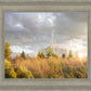 Payson Sunflowers