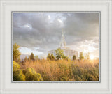 Payson Sunflowers