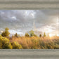 Payson Sunflowers