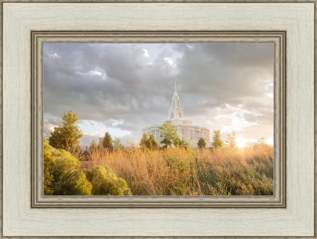 Payson Sunflowers