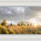 Payson Sunflowers