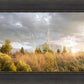 Payson Sunflowers