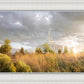 Payson Sunflowers
