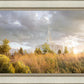 Payson Sunflowers