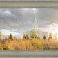 Payson Sunflowers