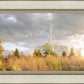 Payson Sunflowers