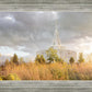 Payson Sunflowers