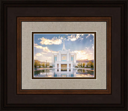 Ogden the Miracle is Coming