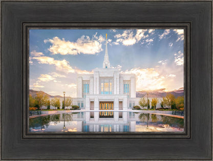 Ogden the Miracle is Coming