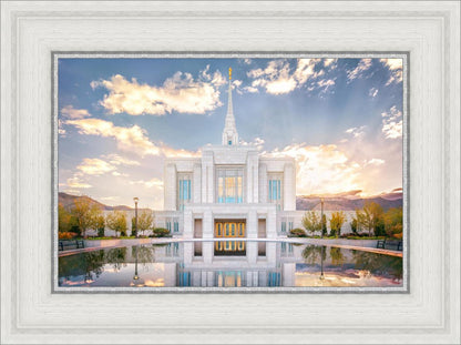 Ogden the Miracle is Coming