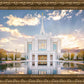 Ogden the Miracle is Coming