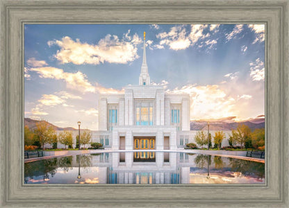 Ogden the Miracle is Coming