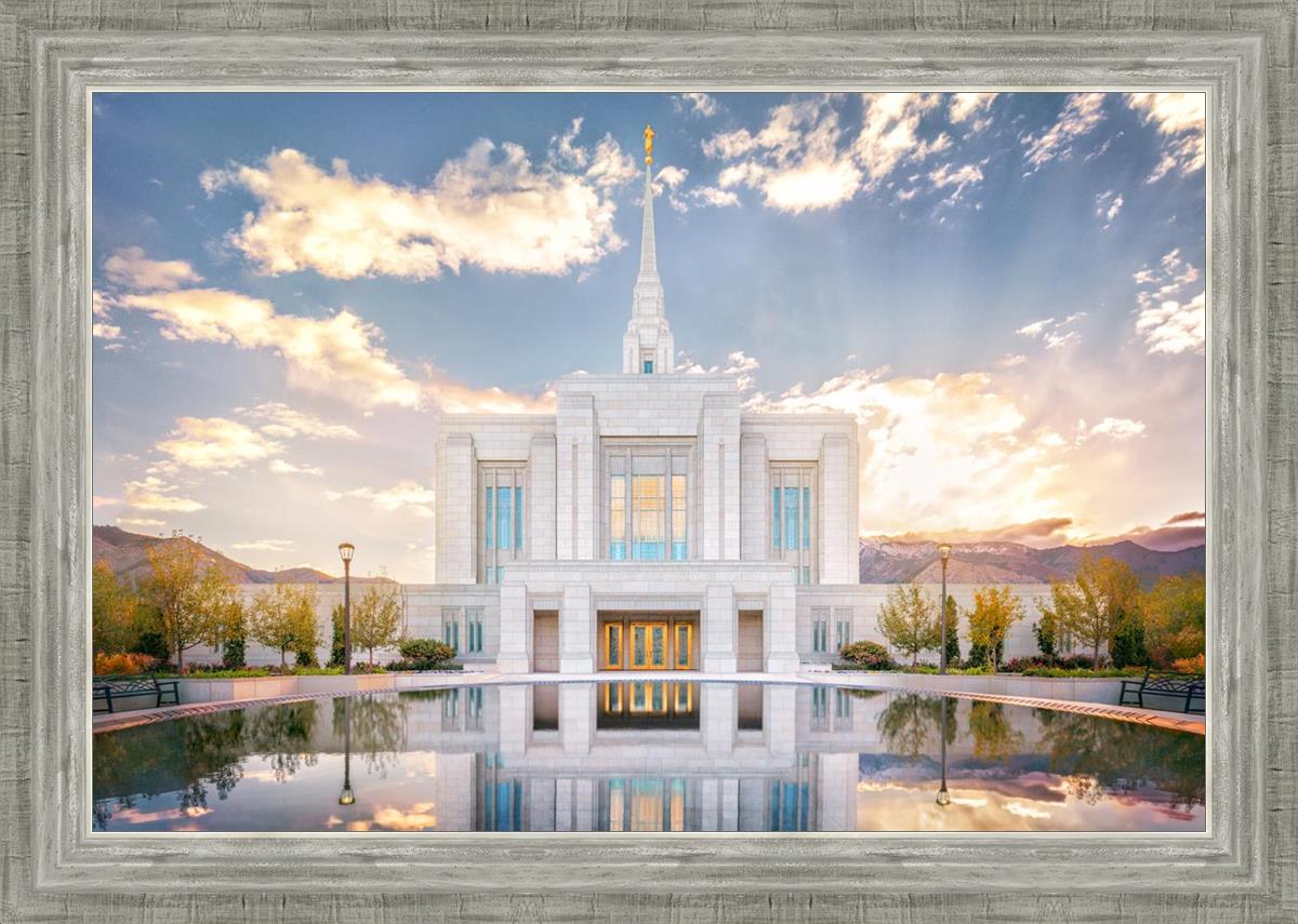 Ogden the Miracle is Coming