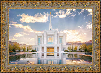 Ogden the Miracle is Coming