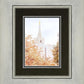 Jordan River Spring Blossoms