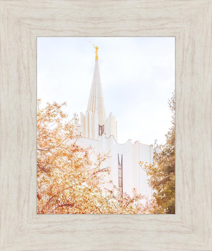 Jordan River Spring Blossoms