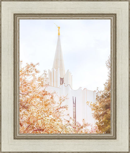 Jordan River Spring Blossoms