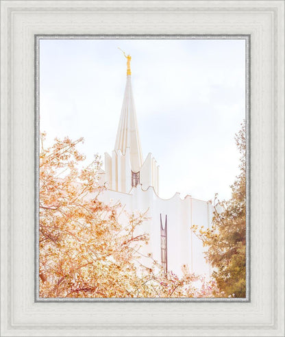 Jordan River Spring Blossoms