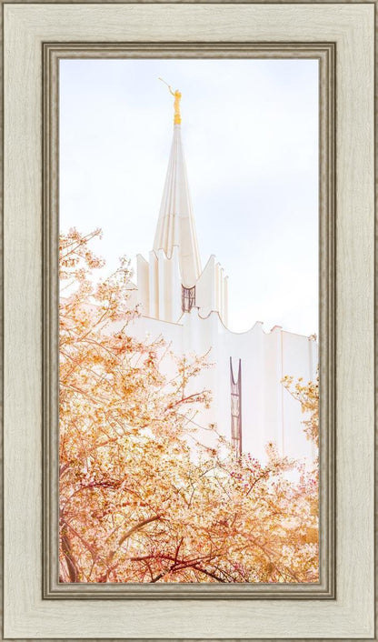 Jordan River Spring Blossoms