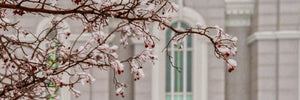 Mount Timpanogos Temple Snowfall