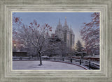 Salt Lake Temple Winter Solitude