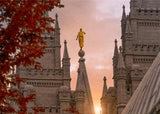 Salt Lake Temple Angel from on High