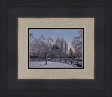 Salt Lake Temple Winter Solitude