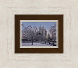 Salt Lake Temple Winter Solitude