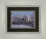 Salt Lake Temple Winter Solitude