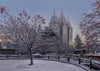 Salt Lake Temple Winter Solitude