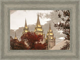 Salt Lake Temple 05