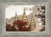 Salt Lake Temple 05