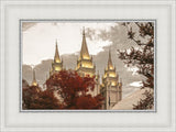 Salt Lake Temple 05