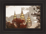 Salt Lake Temple 05