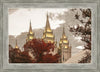 Salt Lake Temple 05