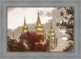 Salt Lake Temple 05