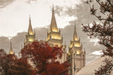 Salt Lake Temple 05