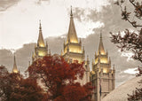 Salt Lake Temple 05