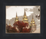 Salt Lake Temple 05