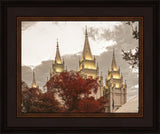 Salt Lake Temple 05