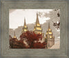 Salt Lake Temple 05