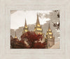 Salt Lake Temple 05