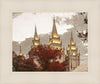 Salt Lake Temple 05