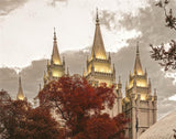 Salt Lake Temple 05