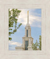 Payson Temple Blossoming Spire