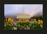 Provo Spring Tulips