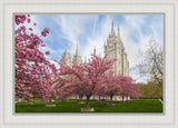 Salt Lake Spring Blossoms