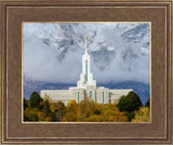 Mt. Timpanogos Hillside