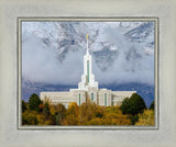 Mt. Timpanogos Hillside